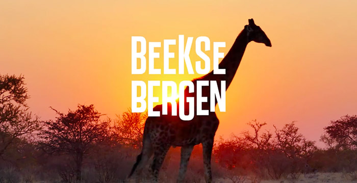 De tekst Beekse Bergen met op de achtergrond een giraffe.