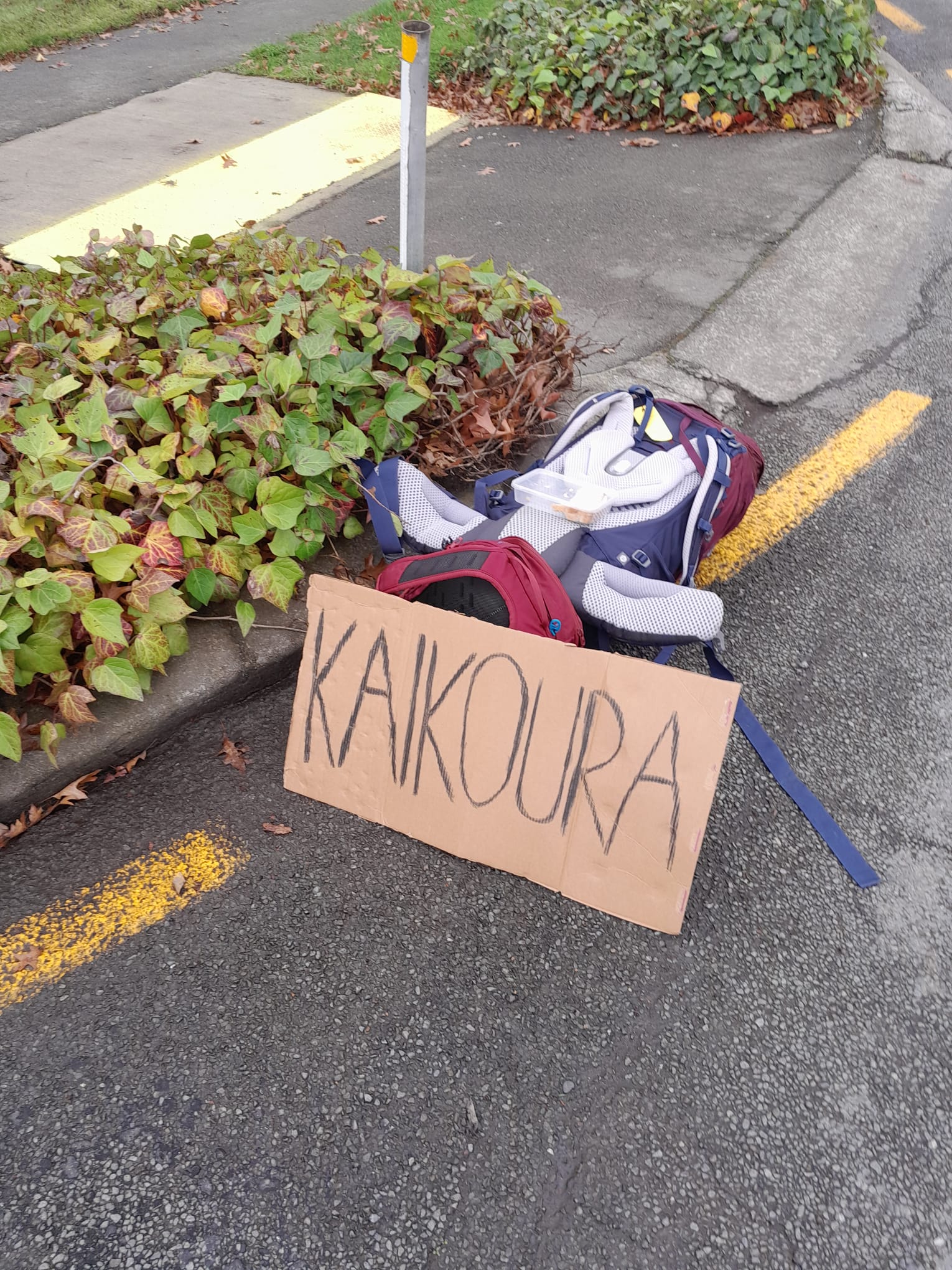 Een backpack ligt op de grond met een bord van karton met Kaikoura erop, een plaatsnaam.